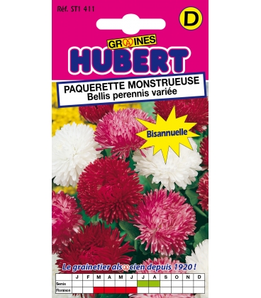 P&acirc;querette Monstrueuse Vari&eacute;e