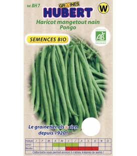 Haricot Mangetout Nain Pongo BIO &copy; Image prot&eacute;g&eacute;e t&eacute;l&eacute;chargement intedit !