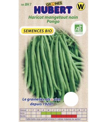 Haricot Nain Pongo BIO