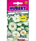 Fleurs pour Bouquets Blancs