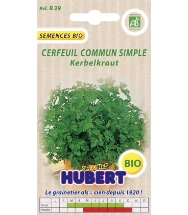 Cerfeuil Commun Simple BIO