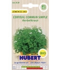 Cerfeuil Commun Simple BIO ©Images protégées téléchargement interdit !