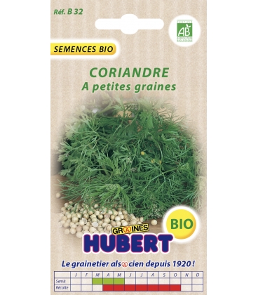 Coriandre &agrave; Petites Graines BIO