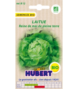 Graines de Laitue Reine de Mai BIO &copy;Images prot&eacute;g&eacute;es t&eacute;l&eacute;chargement interdit !