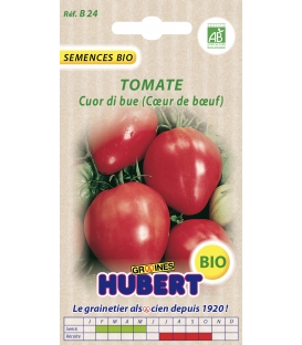 Graines de Tomate Cuor Di Bue Bio (Coeur de Boeuf) &copy;Images prot&eacute;g&eacute;es t&eacute;l&eacute;chargement interdit !