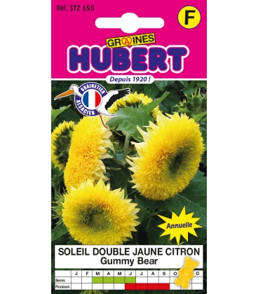Soleil Gummy Bear Double Jaune Citron