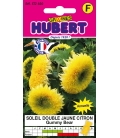 Soleil Double Jaune Citron Gummy Bear
