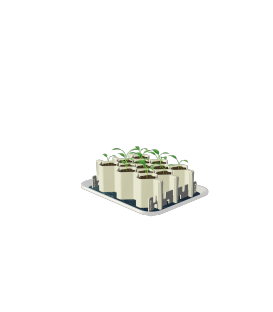 Kit de germination R&eacute;utilisable Germie Taille L