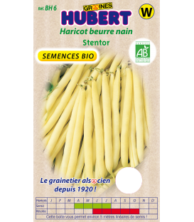 Haricot Beurre Nain STENTOR BIO &copy; Image prot&eacute;g&eacute;e, t&eacute;l&eacute;chargement interdit !