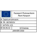 Mini-Poivron F1 en Mélange ©Images protégées téléchargement interdit !