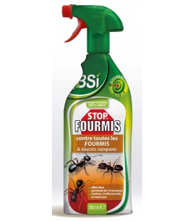 Stop Fourmis Prêt à l'Emploi Flacon Pulvérisateur de 800 ml