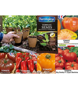 Starter Kit n&deg;2 : 5 Tomates Originales Avec Godets et Terreau de Semis