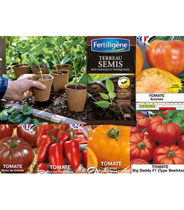 Starter Kit Tomates n&deg;2 : 5 Tomates Originales Avec Godets et Terreau de Semis