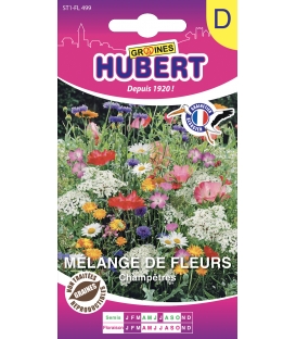 Fleurs Champ&ecirc;tres 