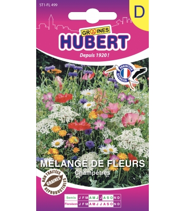 M&eacute;lange Champ&ecirc;tre - 1 m2