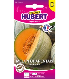 Melon Charentais Stellio F1