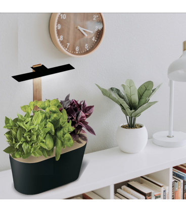 Potager d'int&eacute;rieur Hiver avec LED - TRIO de basilics (Dont 0,08 &euro; d'eco-participation)