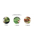 Potager d'intérieur Hiver avec LED - TRIO de basilics (Dont 0,08 € d'eco-participation)