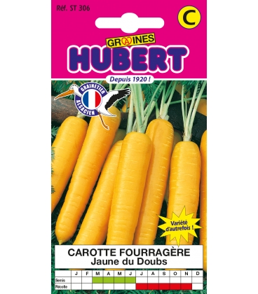 Carotte Fourrag&egrave;re Jaune Obtuse du Doubs