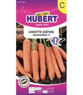 Carotte d'Amsterdam H&acirc;tive