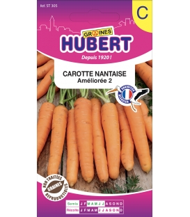 Carotte Nantaise Am&eacute;lior&eacute;e 3 (1/2 longue)