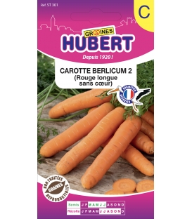 Carotte Berlicum