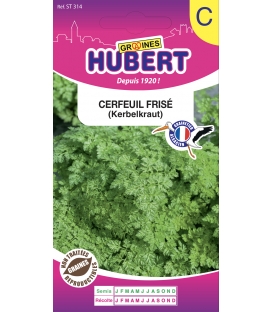 Cerfeuil Frisé Double