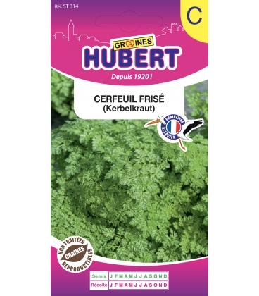 Cerfeuil Fris&eacute; Double