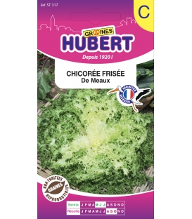 Chicor&eacute;e Fris&eacute;e de Meaux
