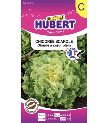 Chicor&eacute;e Scarole Blonde &agrave; Coeur Plein