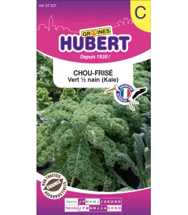 Graines de Chou-Fris&eacute; Vert