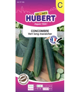 Concombre Vert Long Maraicher