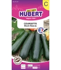 Courgette Black Beauty