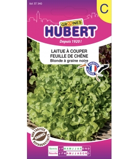 Laitue &agrave; Couper Feuille de Ch&ecirc;ne Blonde