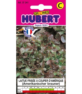 Graines de Laitue Fris&eacute;e &agrave; Couper d'Am&eacute;rique