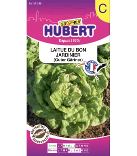 Graines de Laitue du Bon Jardinier &copy;Images prot&eacute;g&eacute;es t&eacute;l&eacute;chargement interdit !