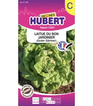 Laitue du Bon Jardinier
