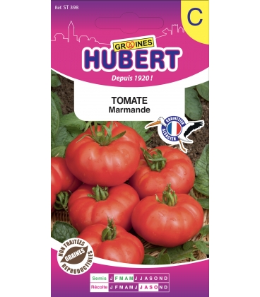 Tomate Marmande
