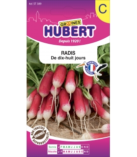 Radis de 18 jours