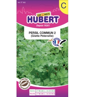Graines de Persil Commun 2