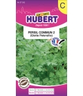 Graines de Persil Commun 2