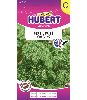 Persil Fris&eacute; Vert Fonc&eacute;