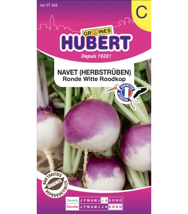 Navet Ronde Witte Roodkop "Herbstr&uuml;ben"