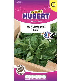 M&acirc;che Elan