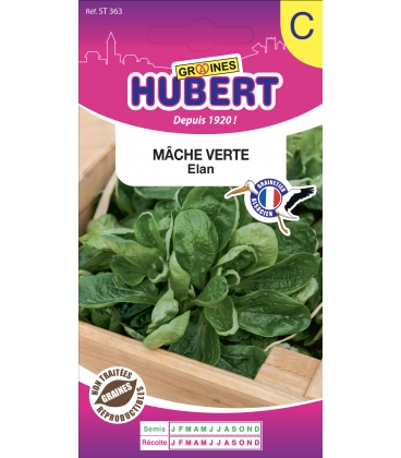 M&acirc;che Elan