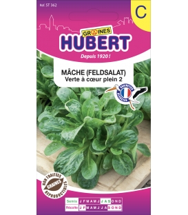 M&acirc;che Verte &agrave; Coeur Plein 2