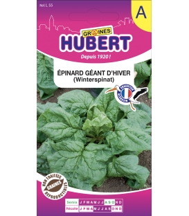 Epinard G&eacute;ant d'hiver