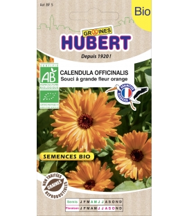 Soucis Double Calendula Officinalis Orange - &copy; Image prot&eacute;g&eacute;e t&eacute;l&eacute;chargement interdit !