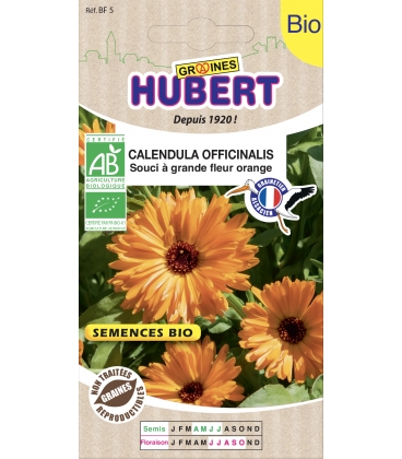 Soucis Calendula Orange BIO