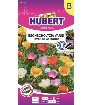 Eschscholtzia Vari&eacute; - Pavot de Californie